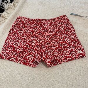 TNF Men’s 5” Inseam Logo Shorts XL